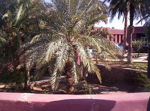 TIMIMOUN DECEMBRE 2004 N025 